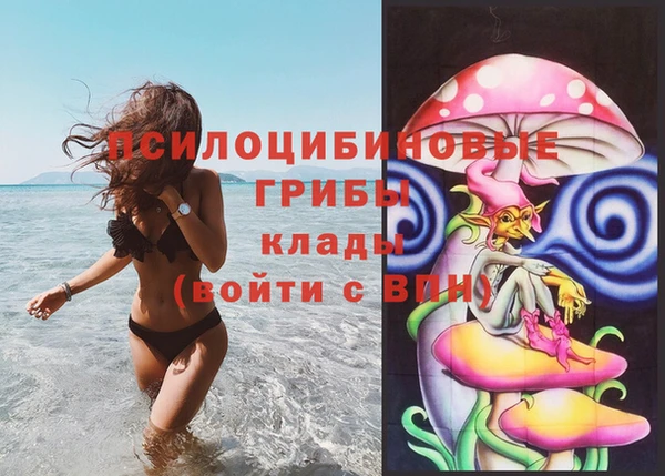 гашик Беломорск